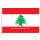 Lebanon national flag 100% polyster 90*150cm